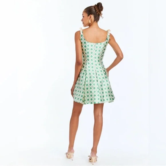 NWT Mestiza Sleeveless Green Patterned Mini Dress - Picture 5 of 12